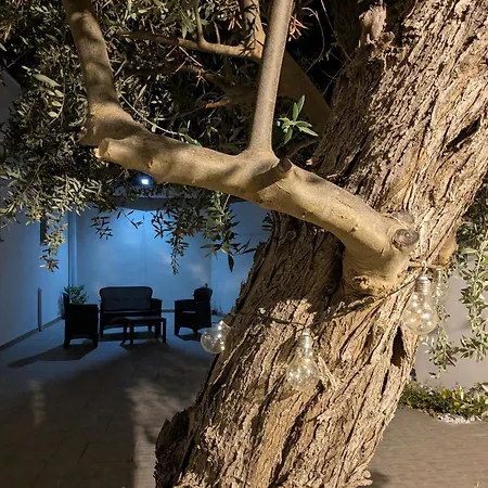 Apartment Casa Pagani